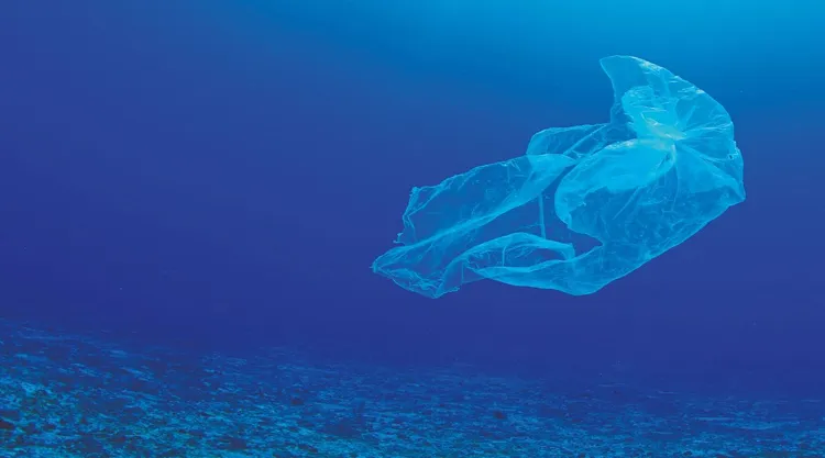 image-dc8c87c7f57dcc19a8e5bb4f452b009f90db3588-2880x1288-jpg